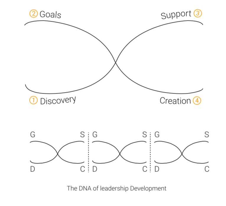 Versatile Leadership Framework